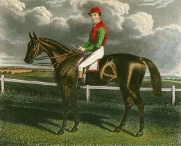 Favonius, race horse