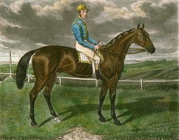 Bothwell, race horse