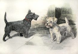 print of scotties (terriers)