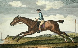 Antonious, famous racehorse