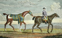 Silver Leg, racehorse picture