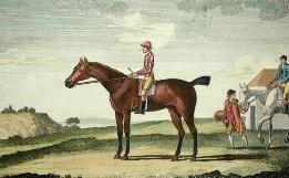 Bellario, hand coloured racehorse print