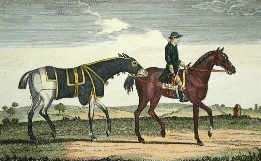 Cardinal Puff, racehorse and trainer