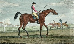 Grenadier, racehorse portrait