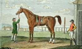 Shakespear, racehorse