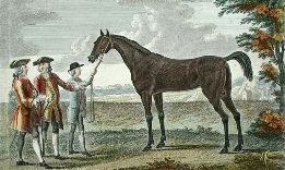 Othello, race horse