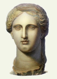 head of Marble Bust 