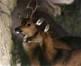 large landseer print of deer