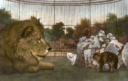 lion and cats in zoo