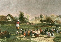 Farmyard With Chickens, Troyon