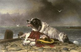 Newfoundland dog print