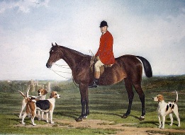huntsman on horse with hounds