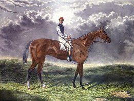 racehorse portrait