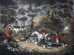 hand coloured fox hunting etching