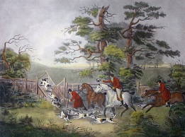 hand coloured fox hunting engraving