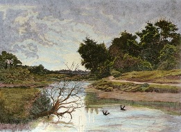 Swallow Stream, hand colored etching
