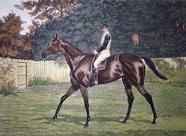 Donovon, derby winner 1889