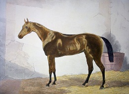 Achievement,  St, Ledger winner 1867