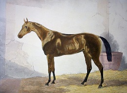 Achievement, St, Ledger winner 1867
