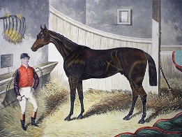 Pretender, champion horse portriat