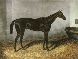 Kingcraft, Derby 1870, race horse