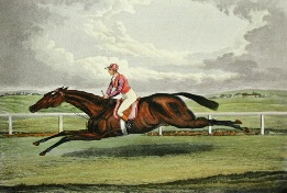 Foig-A-Ballagh, racehorse print