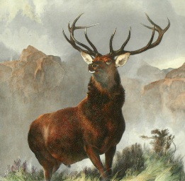 hand colored etching, monarch of the glen