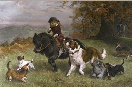 Shetland Pony, dogs and boy