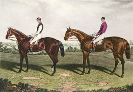 Kingcraft & Hawthornden, horse print