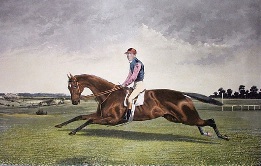 Kingcraft (with Rider), hand coloured horse print