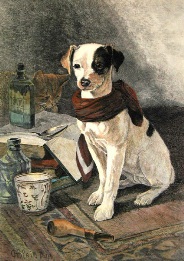 terrier, Convalescent, after Blair