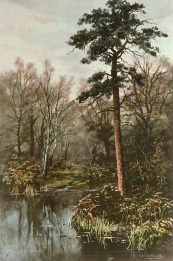 Forest Pool, large hand coloured print