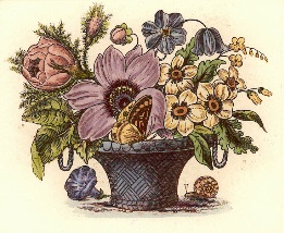print of flowers and butterfly