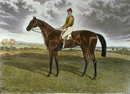 horse and jockey portrait