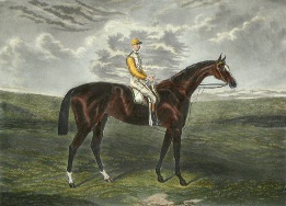 Sanfoin, horse and jockey print