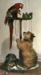 large print of terrier and parrot