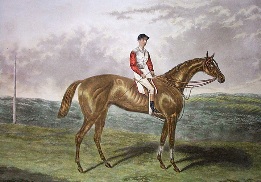 Sir Hugo with jockey, hand colored print