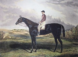 Jeddah, racehorse and jockey print
