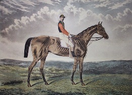 hand colored etching of horse and jockey