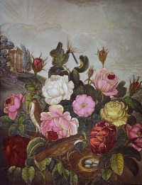 Roses, hand coloured print after thornton