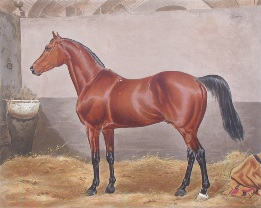 Melton, Derby winner 1885