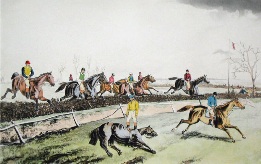 horse racing, taking a fence