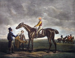 Sir Joshua, race horse portrait