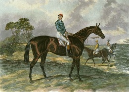 hand colored race horse portrait