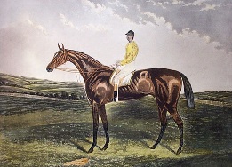 Bendigo, cambridgeshire stakes winner in 1883