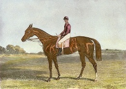 Sefton and jockey, derby winner 1878