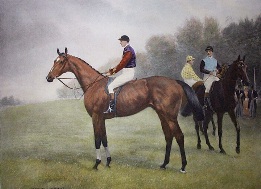 horse anf jockey portrait