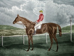 portrait of race horse and jockey