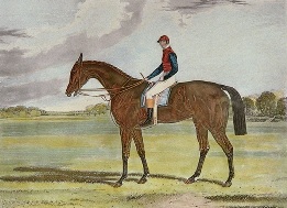 Industry, winner of oaks in 1838, hand coloured print