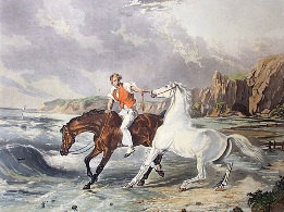Approach to the Sea, horses
